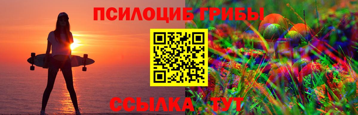 Псилоцибиновые грибы Psilocybine cubensis Архангельск