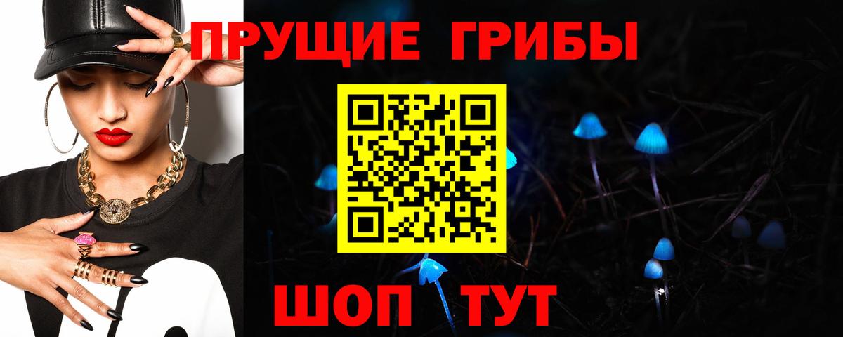 Галлюциногенные грибы Psilocybine cubensis  Вход с VPN  Архангельск 